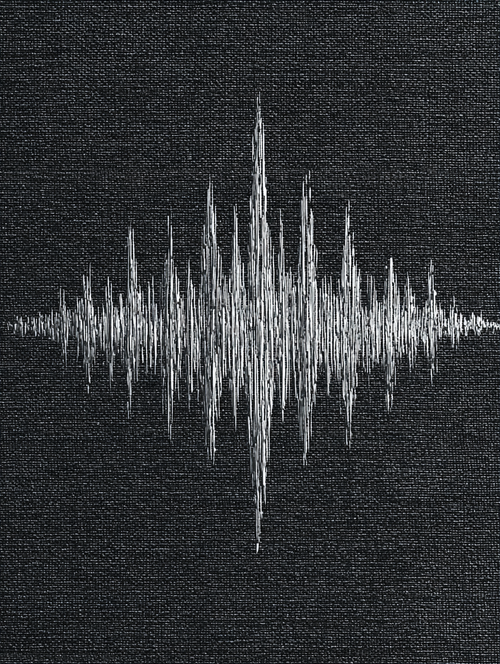 Custom Soundwave Canvas: Art Voice of Your Pet